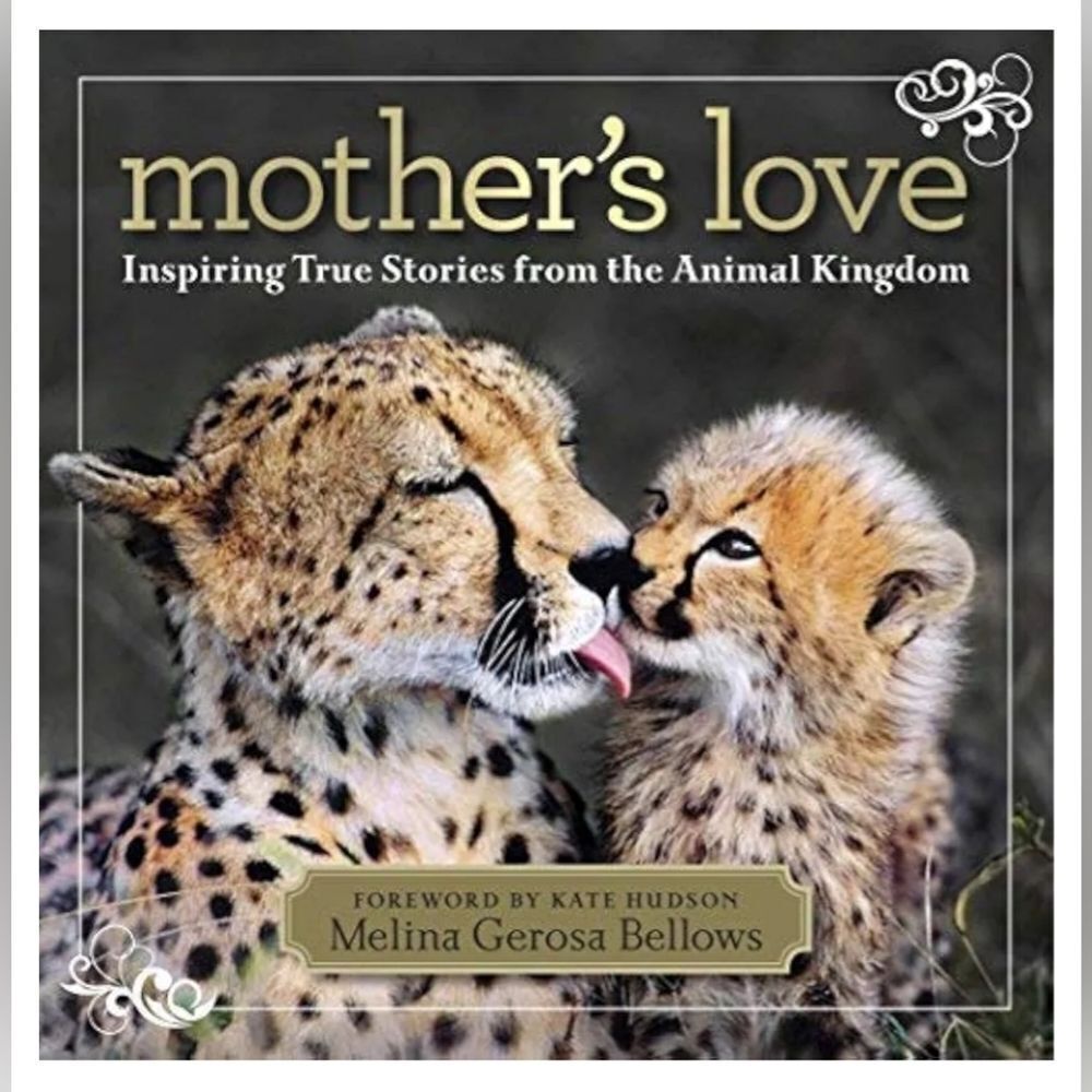 🩵NWT Nat'l Geographic Mother's Love - Inspiring Stories From the Animal Kingdom
